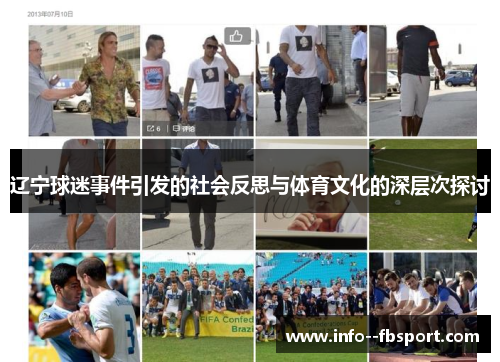 辽宁球迷事件引发的社会反思与体育文化的深层次探讨