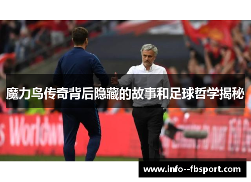 魔力鸟传奇背后隐藏的故事和足球哲学揭秘