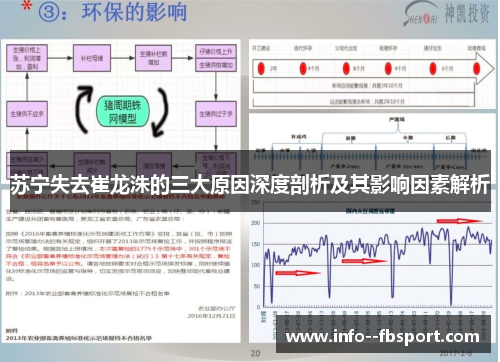 苏宁失去崔龙洙的三大原因深度剖析及其影响因素解析