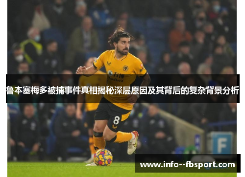 鲁本塞梅多被捕事件真相揭秘深层原因及其背后的复杂背景分析